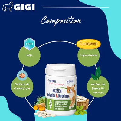 GIGI VET Soutien Articulaire Chats