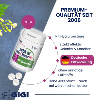 Katzen Gelenke & Knochen PRO+ Gelenktabletten mit Hyaluronsäure GIGI VET