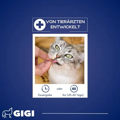 Katzen Gelenke & Knochen PRO+ Gelenktabletten mit Hyaluronsäure GIGI VET