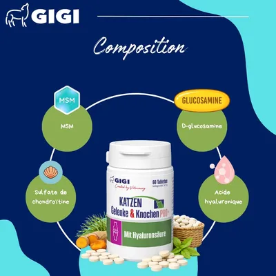 GIGI VET Soutien Articulaire Chats PRO+