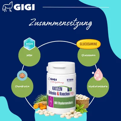 Katzen Gelenke & Knochen PRO+ Gelenktabletten mit Hyaluronsäure GIGI VET