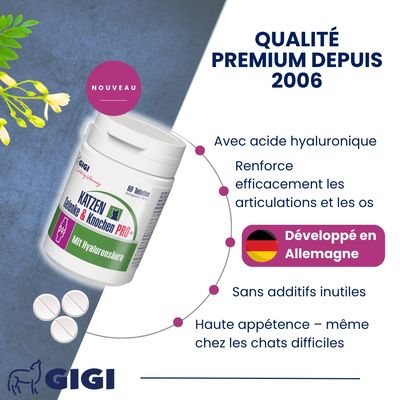 Soutien Articulaire Chats PRO+ GIGI VET