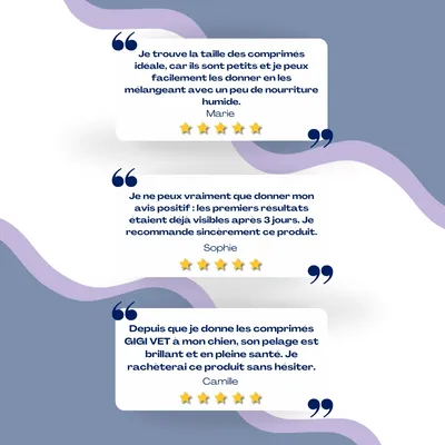 GIGI VET Soutien Articulaire Chats PRO+