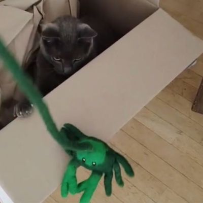 Jouet crabe pour chat en laine feutrée artisanale Grace