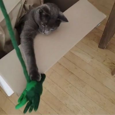 Jouet crabe pour chat en laine feutrée artisanale Grace