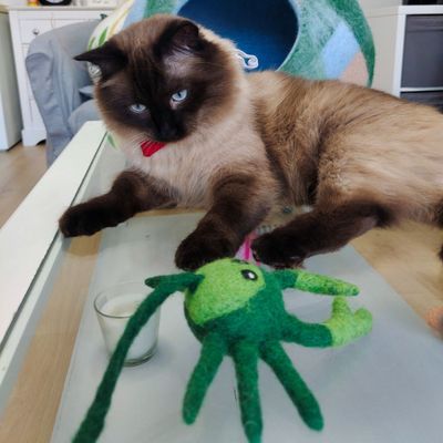 Jouet crabe pour chat en laine feutrée artisanale Grace