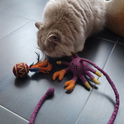 Peluche crabe pour chat en laine feutrée artisanale Griffe