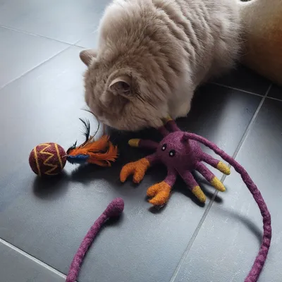 Peluche crabe pour chat en laine feutrée artisanale Griffe