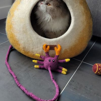 Peluche crabe pour chat en laine feutrée artisanale Griffe