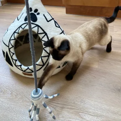 Jouet pieuvre pour chat en laine naturelle Siphon