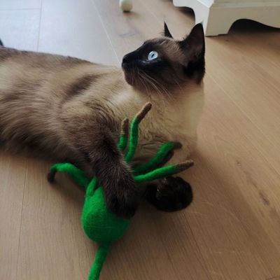 Peluche pieuvre pour chat en laine naturelle Tentac