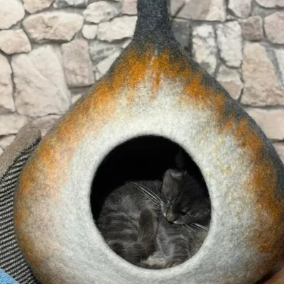 MariGold Maison pour chat en feutre de laine artisanale Potir