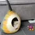 MariGold Maison pour chat en feutre de laine artisanale Potir