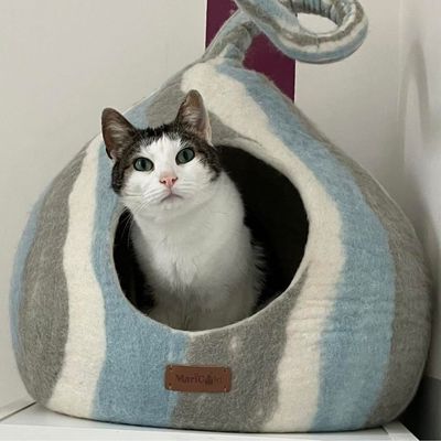 Niche pour chat en feutre de laine – Wave