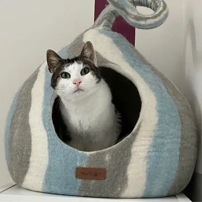 MariGold Niche pour chat en feutre de laine – Wave