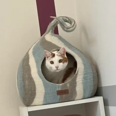 MariGold Niche pour chat en feutre de laine – Wave
