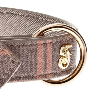 FERRIBIELLA Collier réglable pour chien - Confort et Maintien Sécurisé - R…