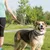 FERRIBIELLA Collier réglable pour chien - Confort et Maintien Sécurisé - R…