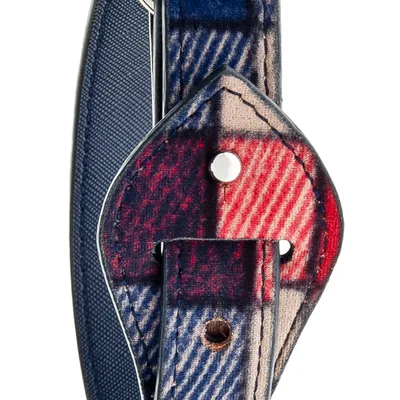 FERRIBIELLA Collier réglable pour chien - Confort et Maintien Sécurisé - T…