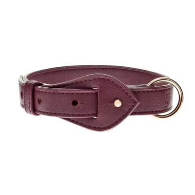 FERRIBIELLA Collier réglable pour chien - Confort et Maintien Sécurisé - B… FERRIBIELLA Collier réglable pour chien - Confort et Maintien Sécurisé - B…