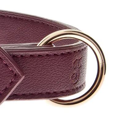 FERRIBIELLA Collier réglable pour chien - Confort et Maintien Sécurisé - B… FERRIBIELLA Collier réglable pour chien - Confort et Maintien Sécurisé - B…