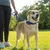 FERRIBIELLA Collier réglable pour chien - Confort et Maintien Sécurisé - B… FERRIBIELLA Collier réglable pour chien - Confort et Maintien Sécurisé - B…