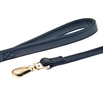 FERRIBIELLA Laisse Chien Cuir Durable Prise Sûre - Bleu