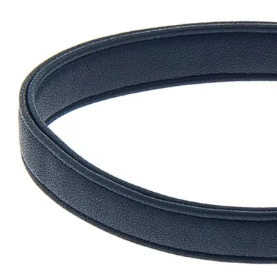 FERRIBIELLA Laisse Chien Cuir Durable Prise Sûre - Bleu