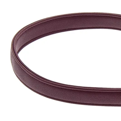 FERRIBIELLA Laisse Chien Cuir Durable Prise Sûre - Bordeaux