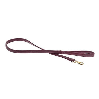 FERRIBIELLA Laisse de marche en cuir durable avec prise en main sûre - Leo…