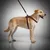 FERRIBIELLA Laisse Chien Cuir Durable Prise Sûre - Bordeaux FERRIBIELLA Laisse Chien Cuir Durable Prise Sûre - Bordeaux