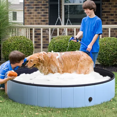 PawHut - Piscine chien pliable antidérapante H.30 cm PVC - bleu