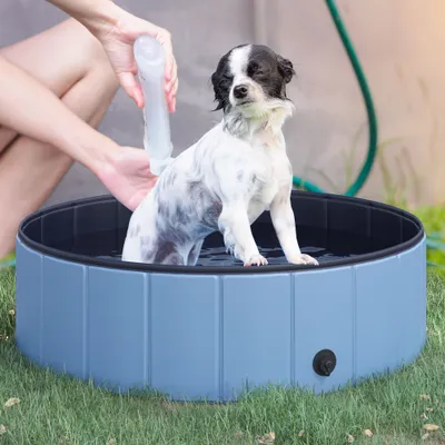 PawHut - Piscine-Chien-PVC-Pliable-Facile-H.30 cm - bleu