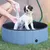 PawHut - Piscine-Chien-PVC-Pliable-Facile-H.30 cm - bleu