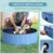 PawHut - Piscine-Chien-PVC-Pliable-Facile-H.30 cm - bleu