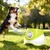 PawHut - Lanceur de balles automatique pour chien 5 balles - vert