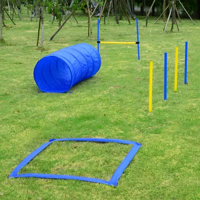PawHut - Agility pour Chiens Équipement Complet + 2 sacs - bleu jaune