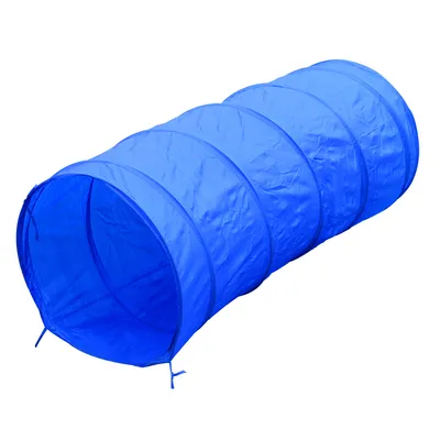 PawHut - Agility pour Chiens Équipement Complet + 2 sacs - bleu jaune