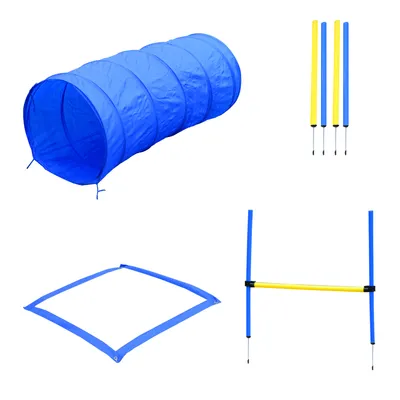 PawHut - Agility pour Chiens Équipement Complet + 2 sacs - bleu jaune