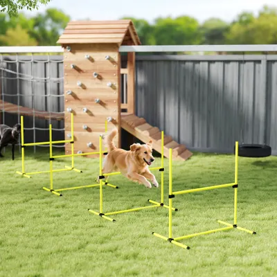 PawHut - Agility sport pour chiens set de 4 obstacles pro - jaune noir