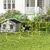 PawHut - Agility sport pour chiens set de 4 obstacles pro - jaune noir