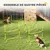 PawHut - Agility sport pour chiens set de 4 obstacles pro - jaune noir