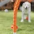 PawHut - Kit d'agilité chien 4 arcs, sac transport - orange jaune rouge