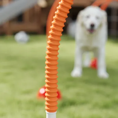 PawHut - Kit d'agilité chien 4 arcs, sac transport - orange jaune rouge