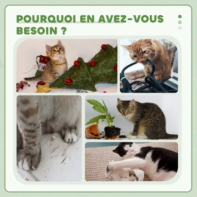 PawHut - arbre à chat multi-équipement PawHut - arbre à chat multi-équipement