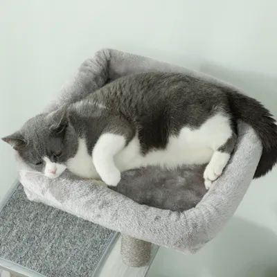 PawHut - arbre à chat multi-équipement PawHut - arbre à chat multi-équipement