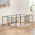 PawHut - Parc enclos chien pliable modulable 12 panneaux verrouillable-Noir