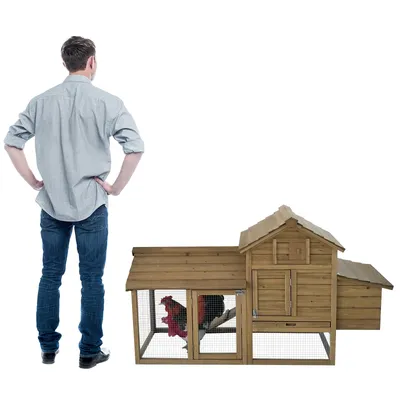 PawHut - Poulailler cottage sur pied bois L.151cm - naturel
