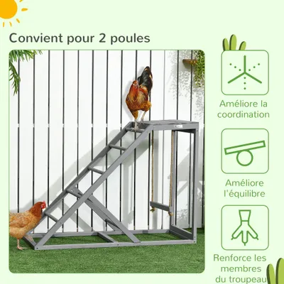 PawHut - Perchoir poule 3 en 1 balançoire plateforme H.71cm-gris