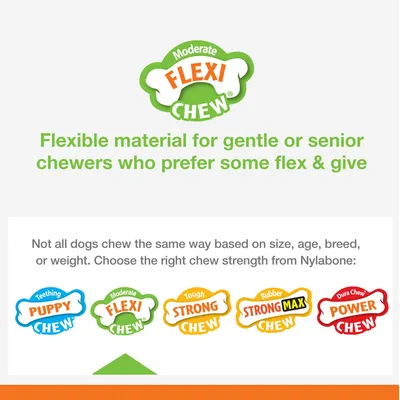 Nylabone - Jouet à mâcher - Dental Chew Nylabone - Jouet à mâcher - Dental Chew